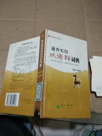 速查實(shí)用成語群詞典