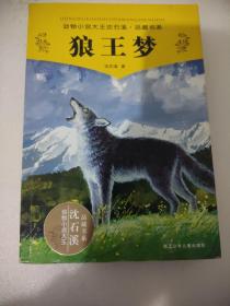 狼王梦