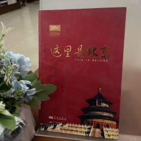 这里是北京（第四辑）：北京台电视节目“这里是北京”系列图书第四辑。