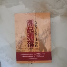 潮起潮落：农业学大寨运动回眸