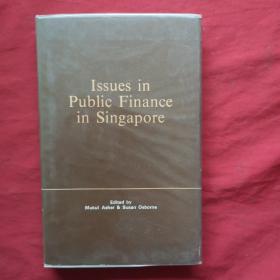 Issues in pubiic Finance in singapore