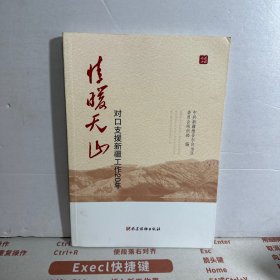 情暖天山 : 对口支援新疆工作20年  【内页干净】