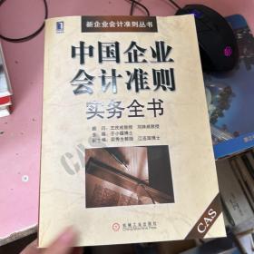 中国企业会计准则实务全书