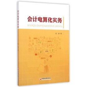 会计电算化实务