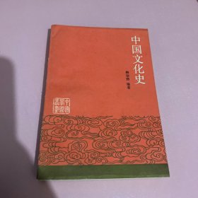 中国文化史（下册）
