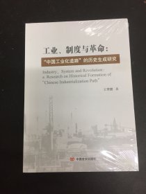 工业 制度与革命:中国工业化道路的历史生成研究