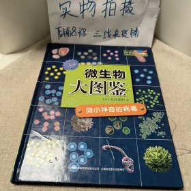 微生物大图鉴：微小神奇的病毒