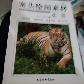案头绘画素材 虎篇