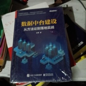 数据中台建设：从方法论到落地实战(博文视点出品)