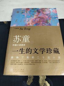 一生的文学珍藏（外国小说读本）：影响了我的二十篇小说