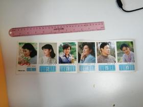 1984年日历