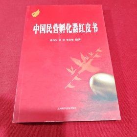 中国民营孵化器红皮书