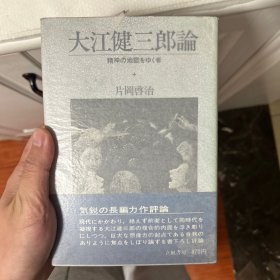 大江健三郎论  前往精神地狱之人