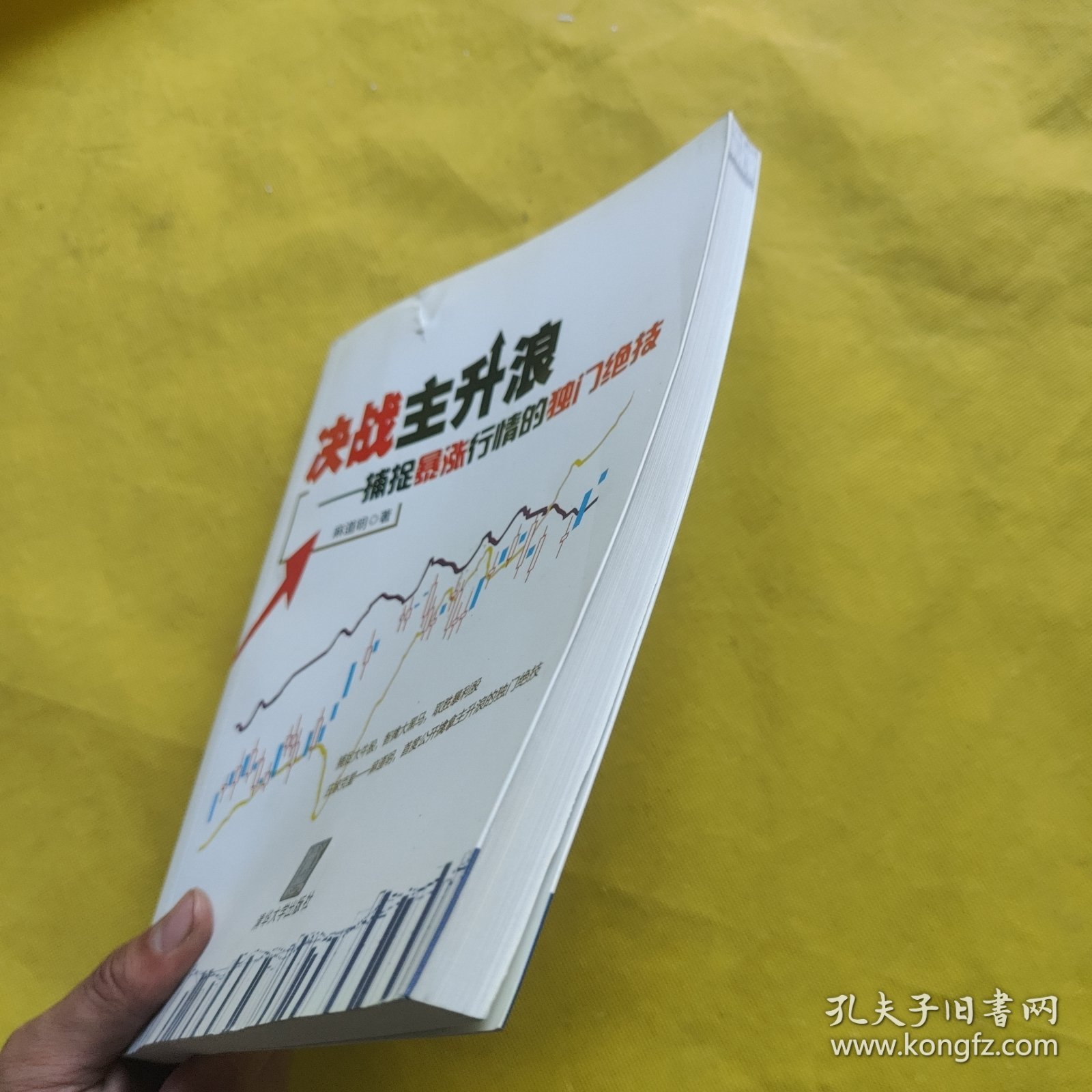 点击查看原图 决战主升浪:捕捉暴涨行情的独门绝技