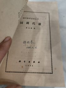 现代数学基础丛书:同调代数