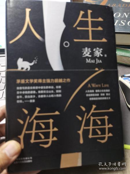 麦家：人生海海（茅盾文学奖得主麦家2019年强力之作）