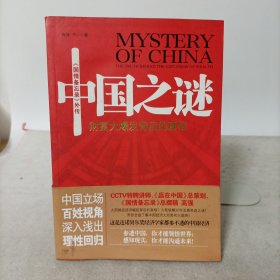 中国之谜——财富大爆发背后的真相(国情备忘录外传)