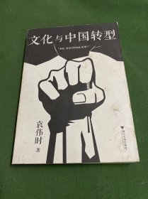 文化与中国转型