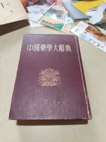 中国药学大辞典（上）