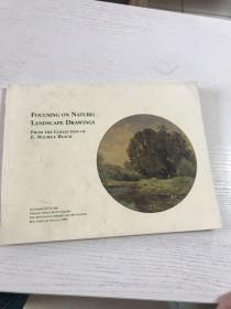 focusing on nature :landscape drawings