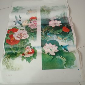 风景花卉10张