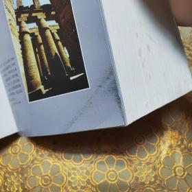 西方文明史 第八版 O