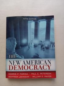 THE NEW AMERICAN DEMOCRACY