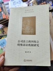 公司法上的纠纷之特殊诉讼机制研究