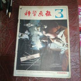 科学画报 1981年第3期