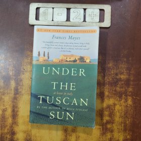 Under the Tuscan Sun：At Home in Italy