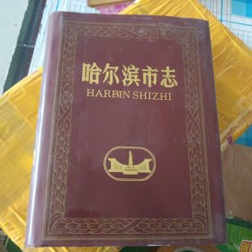 哈尔滨市志32 公安司法行政