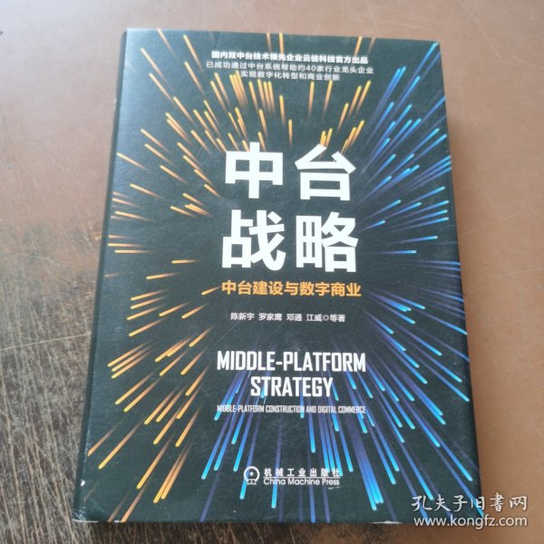 中台战略：中台建设与数字商业