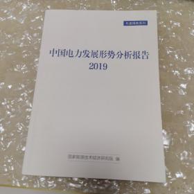 中国电力发展形势分析报告2019