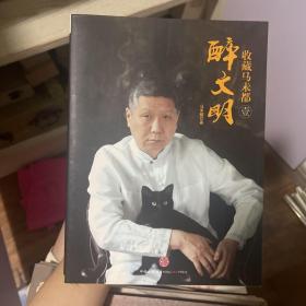 收藏马未都1：醉文明