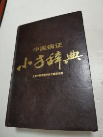 中医病证小方辞典