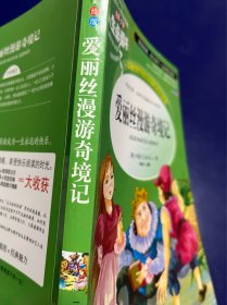 爱丽丝漫游奇境记 美绘插图版 教育部“语文课程标准”推荐阅读 名词美句 名师点评 中小学生必读书系