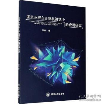 张量分析在计算机视觉中的应用研究