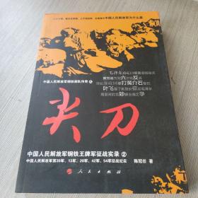 尖刀：中国人民解放军钢铁王牌军征战实录2