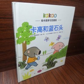 卡高和蓝石头