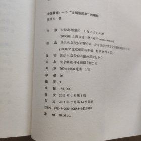 中国震撼：一个“文明型国家”的崛起.