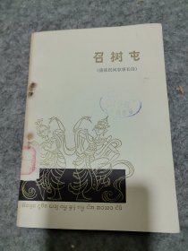 召树屯（傣族民间叙事长诗）