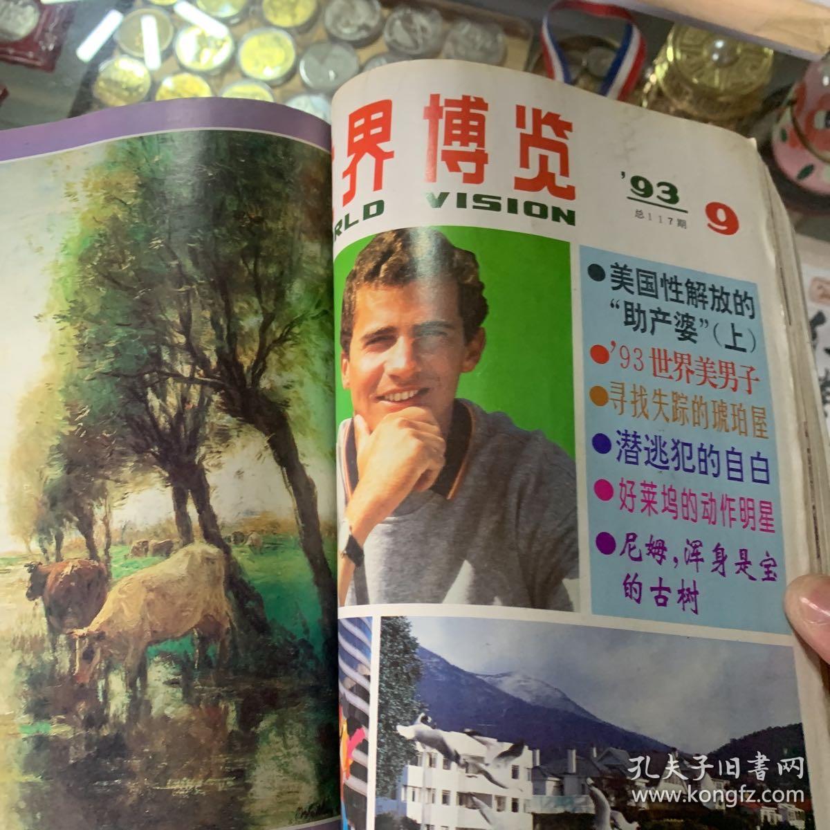 世界博览1993年第1期～第12期全e