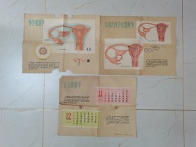 怀孕和避孕、采用宫内节育器避孕、安全期避孕等三张1964年健康报社卫生宣传组编绘