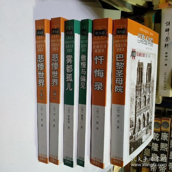 巴黎圣母院：名著名译插图本·精华版