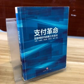 支付革命：互联网时代的第三方支付