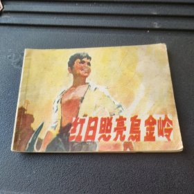 连环画 红日照亮乌金岭