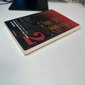 高手身影2：中国商业原生态实战案例