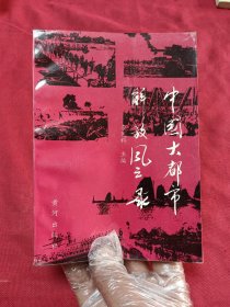 中國(guó)大都市解放風(fēng)云錄