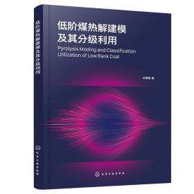 低阶煤热解建模及其分级利用 普通图书/工程技术 王俊丽|责编:张欣//李晓红 化学工业 9787397454