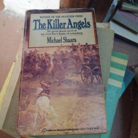 The Killer Angels